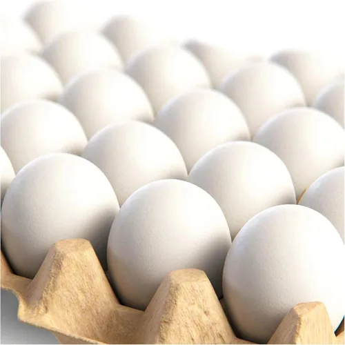 CALPALMY 24 huevos de madera blancos hiperrealistas, 2 docenas de huevos de Pascua falsos para pintar, decorar, manualidades, juegos de simulación,