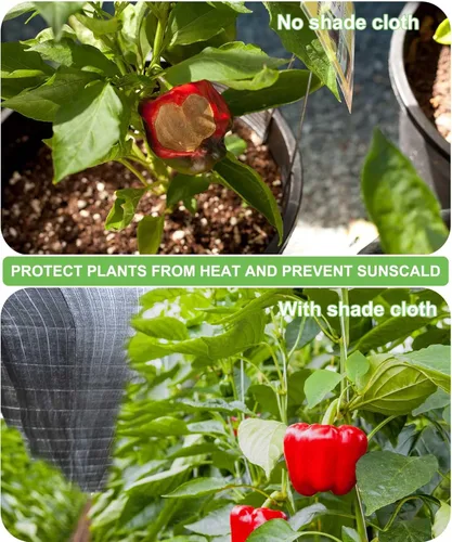 Miniatura 7 de Mklsit Garden Tela de Sombra del 70%, 10 x 20 pies Red de Sombra Solar Negra, Lona de Malla de Sombra Solar con Ojales de Latón Reforzados, Telas