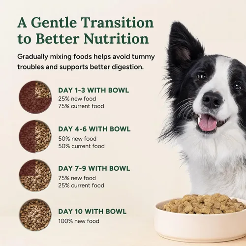 Miniatura 7 de 360 Pet Nutrition Alimento crudo liofilizado para perros – Receta de carne de res con hígado y órganos, alta proteína con omega-3, frutas, verduras