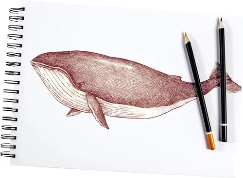 Miniatura 4 de ARTISTIK Bloc de bocetos en espiral, cuaderno de bocetos perforado de 100 hojas para lápiz, pastel y crayón, 3.53 oz/m² (68 libras), bloc de bocetos