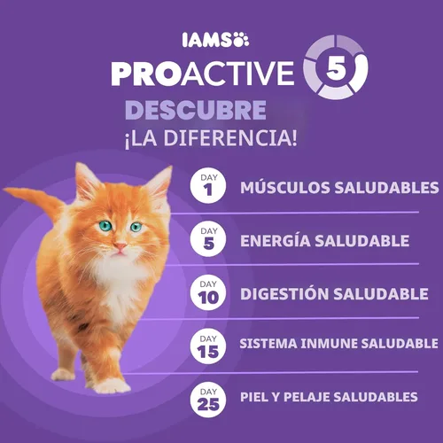 Miniatura 5 de IAMS Proactive Health Alimento Seco Saludable para Gatitos con Pollo, Bolsa de 16 lb