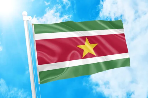 Miniatura 152 de DMSE Bandera de Sierra Leona 3X5 Pies 100% Poliéster Bandera 100D 47-91 x 152 cm