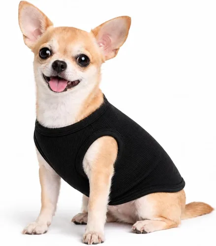 Miniatura 49 de Lovelonglong Ropa para mascotas de verano 2019, ropa para perro, camisetas en blanco, camisetas acanaladas, chalecos de hilo superior para perros