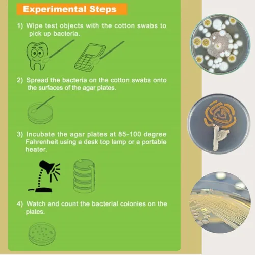 Miniatura 3 de Kit de ciencias de bacterias EZ Bioresearch (IV): kit de proyecto de ciencias Placas de agar LB preparadas e hisopos de algodón Exclusivo libro