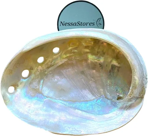 NessaStores 12 conchas de abulón de 2.5 a 3.5 pulgadas | Hermoso cuenco de manchas totalmente natural, perfecto para varitas de incienso y un kit de