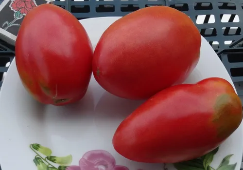 Miniatura 5 de Semillas Verduras Tomate en Forma de Pimienta - 25 Semillas