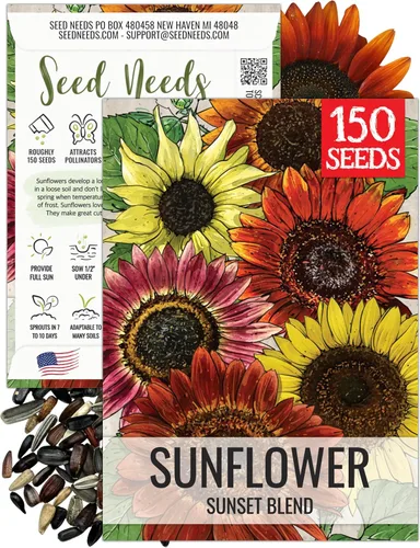 Miniatura 22 de Seed Needs Semillas de girasol para plantar girasoles de manchas solares enanas, semillas de flores de corte anual de polinización abierta