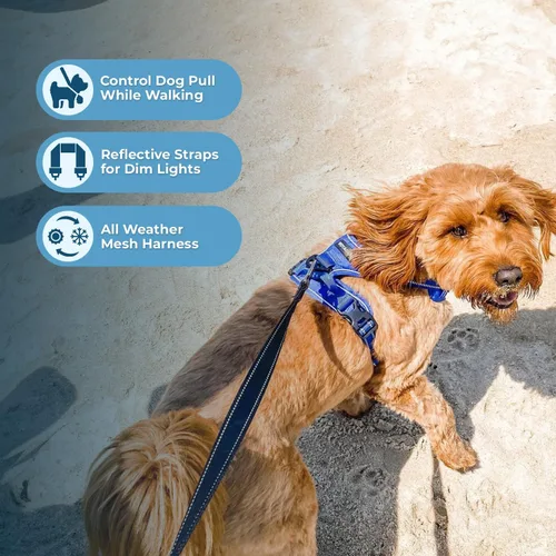 Miniatura 7 de Voyager por Best Pet Supplies – Arnés delantero ajustable sin tirones con tecnología reflectante 3M Arnés (nailon celosía azul real)