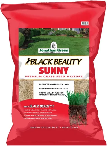 Miniatura 8 de Jonathan Green (10895) Black Beauty Sunny Grass Seed - Semilla de césped de temporada fría (1 libra)