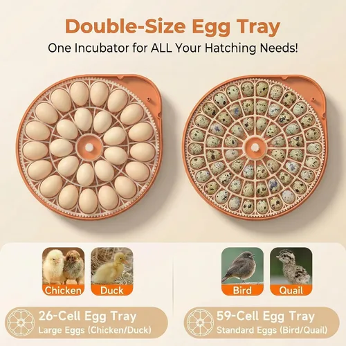 Miniatura 5 de Incubadora de huevos 26-59 con giro automático de huevos, máquina controlada por voz, control de temperatura y humedad, vela de huevos incorporada