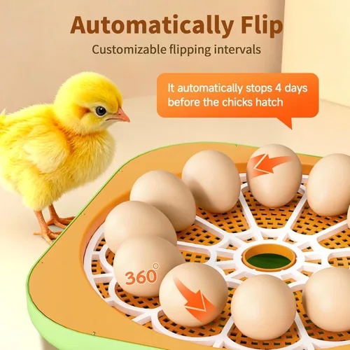 Miniatura 4 de Incubadora para incubar huevos, control de temperatura y humedad, día de incubación e incubación automático y ajustable, vela de huevos incorporada