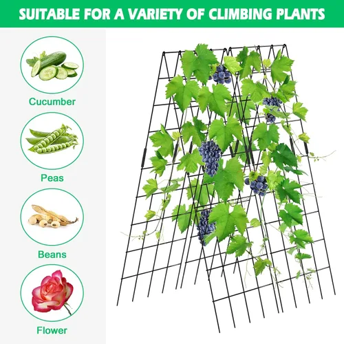 Miniatura 6 de DoCred Enrejado de pepino, 59 pulgadas de alto, paquete de 2 enrejados plegables con marco A para plantas trepadoras elevadas, verduras, incluye