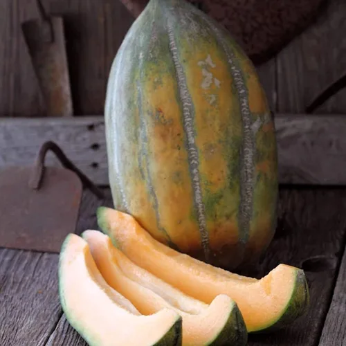 Bidwell Casaba - Semillas de melón 1 onza ~ 980 - Semillas de hortalizas y frutas - reliquia, sin OMG, polinizado abierto