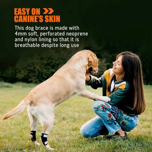 Miniatura 4 de NeoAlly Soportes de perro de gran apoyo para articulación trasera de corvejón con tiras de resorte de metal duales estabilizan las patas traseras