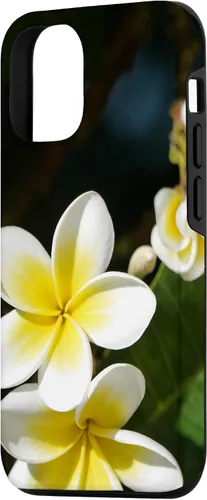 Miniatura 2 de iPhone 12/12 Pro Plumeria Flower - Carcasa amarilla