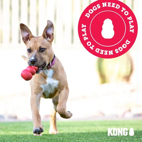 Miniatura 8 de KONG Goodie Bone & Flyer - Juguetes para perros para enriquecer el tiempo de juego, hueso de perro y disco de lanzamiento suave, apoyo mental, hueso