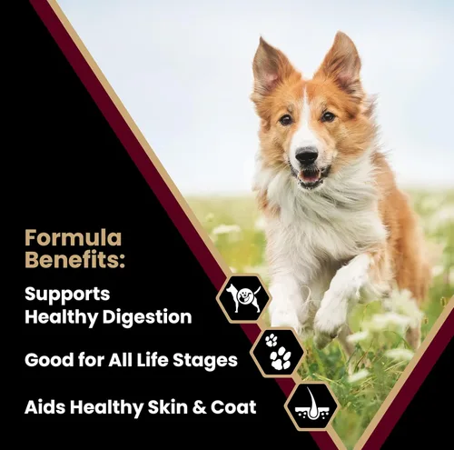 Miniatura 2 de VICTOR Super Premium - Alimento para perros – Fórmula de harina de cordero y arroz integral – Alimento seco para perros sin gluten para todos