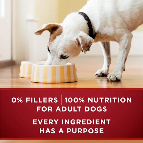 Miniatura 8 de Purina ONE True Instinct - Cortes tiernos en salsa con pavo verdadero y venado, y con pollo verdadero y pato, alimento húmedo para perros alto