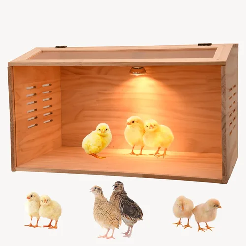Miniatura 7 de Caja de cría para pollitos, caja de criador de pollo, calentador de pollo, criador de aves de corral con calentadores para pollitos bebés, patos