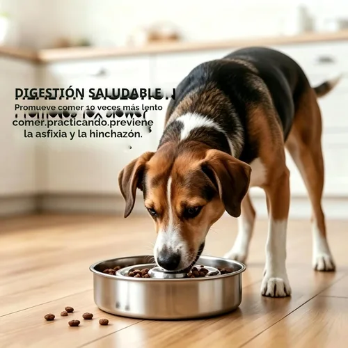 Miniatura 9 de AIPERRO Tazón de acero inoxidable para perros de alimentación lenta, 2 tazas de metal antideslizante para comida para perros, cuenco de agua