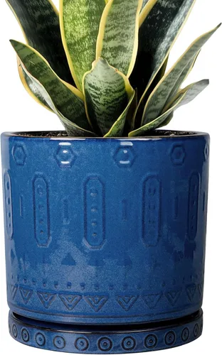 Eightpot Maceta de cerámica de 6 pulgadas para plantas de exterior, maceta de interior con agujeros de drenaje y platillo para suculentas, maceta