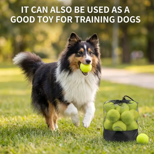 Miniatura 6 de Tebery Paquete de 20 pelotas de tenis de entrenamiento avanzado, pelota de práctica para principiantes, pelotas de juego para perros y mascotas