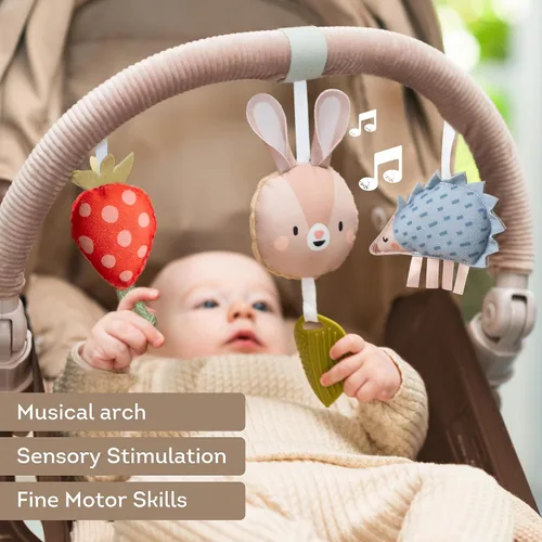 Miniatura 3 de Taf Toys Arco Ideal para lactantes y niños pequeños, se adapta a cochecito y carriola, arco de actividad con juguetes fascinantes, estimula