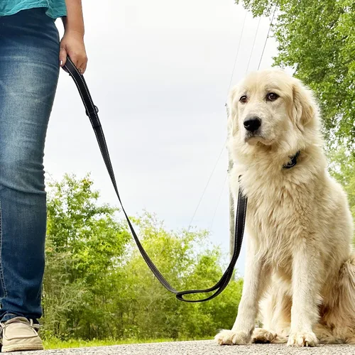 Miniatura 7 de Joytale - Correa resistente para perros grandes que tiran, doble asa para control de tráfico, correas reflectantes de doble cara para perros grandes