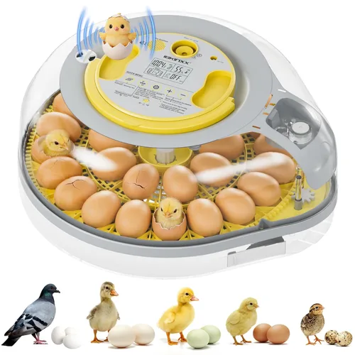 IBKINXX Incubadora de 26 huevos para incubar huevos con guía de voz inteligente, vista de 360° con control automático de temperatura y humedad, giro