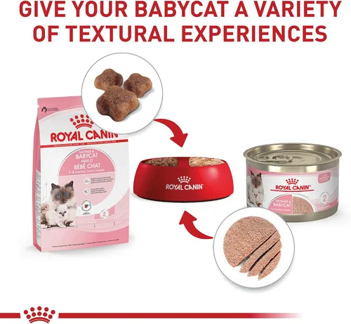 Miniatura 5 de Royal Canin Feline Health Nutrition Mother & Babycat Queen - Alimento seco para gatos, bolsa de 3 libras