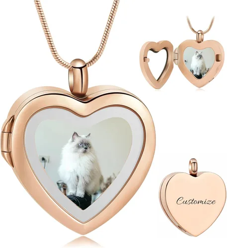 Miniatura 25 de constantlife Joyería de cremación para cenizas – Colgante de corazón conmemorativo collar de urna conmemorativa soporte para cenizas de acero