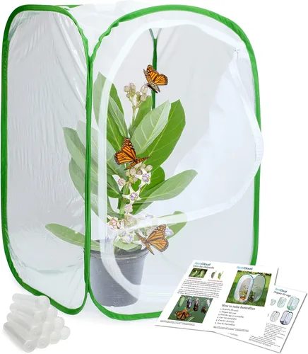 RESTCLOUD Jaula de hábitat de insectos y mariposas con terrario emergente de 24 pulgadas de alto con 10 tubos florales de 0.3 fl oz