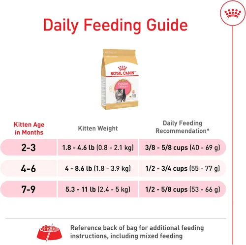 Miniatura 8 de Comida seca para gatitos persas de Royal Canin Nutrición para razas felinas, bolsa de 3 libras