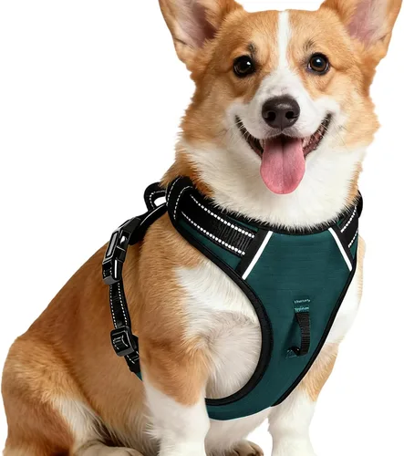 Miniatura 120 de Arnés para perro sin tirones, chaleco reflectante ajustable y acolchado para mascotas con asa de fácil control, fácil de llevar con nudo elegante