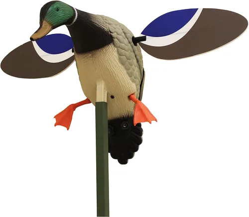 Miniatura 23 de MOJO Outdoors - Premium Waterfowl and Duck Hunting Decoys