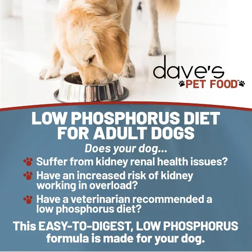 Miniatura 5 de Dave's Pet Food Kidney Care - Alimento para perros (fórmula de pollo desmenuzable), sin receta, bajo en fósforo, bajo en proteínas, soporte renal