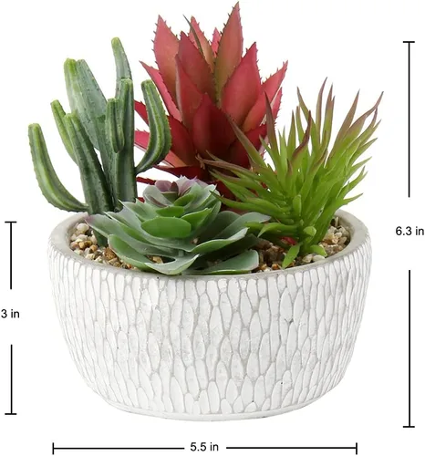 Miniatura 2 de Briful Pequeñas plantas falsas surtidas suculentas falsas en macetas, plantas suculentas realistas artificiales con macetas de cemento