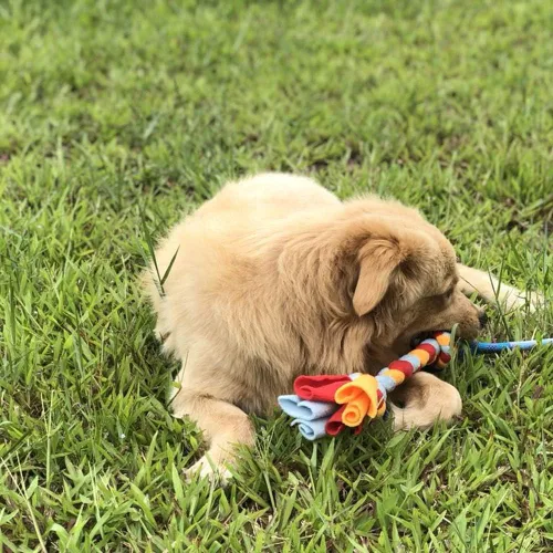 Miniatura 2 de Dewonch Juguete teaser de cuerda polar para perros como reemplazo para Chase and Tug (A-2PCS)