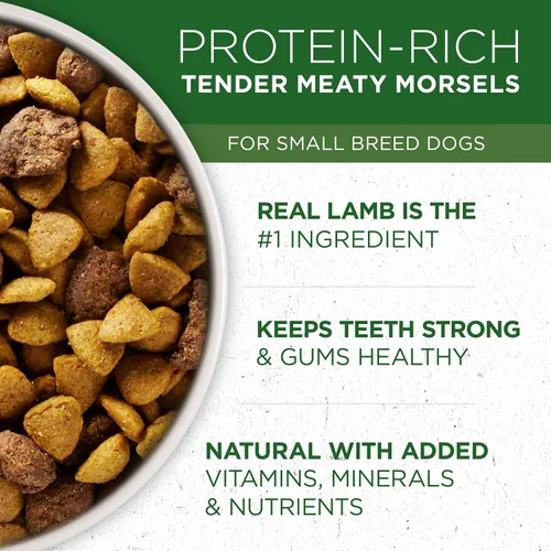 Miniatura 2 de Purina Paquete de alimento y golosinas para perros de razas pequeñas, ONE +Plus fórmula de cordero y arroz con cuidado bucal diario DentaLife