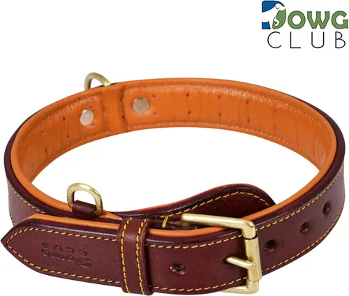 Miniatura 6 de Collar de perro de cuero genuino, grano completo, acolchado interior transpirable, hebilla acolchada, resistente, ajustable para razas pequeñas