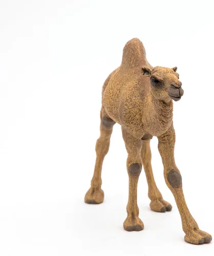 Miniatura 4 de Papo - Figura de dromedario realista - A partir de 3 años - Colección Wild Life - Juego educativo de animales del desierto - Juguete de idea
