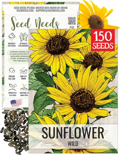 Miniatura 13 de Seed Needs Semillas de girasol para plantar girasoles de manchas solares enanas, semillas de flores de corte anual de polinización abierta