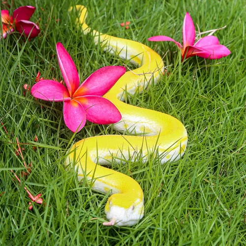 Miniatura 4 de SIENON - Serpientes falsas realistas de juguete, figura de serpiente de goma suave para jardín, asusta a las aves y ardillas, modelo de acción