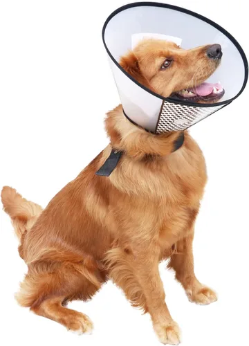 Miniatura 6 de Collares y conos de plástico para recuperación de mascotas para perros y gatos después de la cirugía, cono ajustable para el cuello del perro
