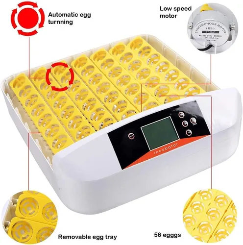 Miniatura 3 de Incubadora de huevos, 42 incubadoras de huevos para incubar huevos con girador automático digital de pollos Control de temperatura y humedad