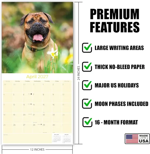 Miniatura 5 de Razas de Perros 2017 Bullmastiff