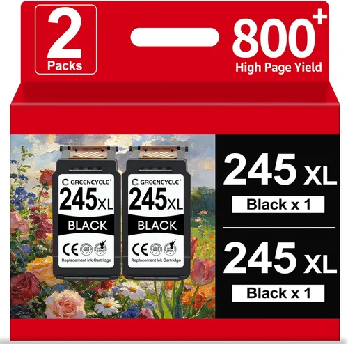 245XL - Cartucho de tinta de repuesto para Canon PG-245XL, compatible con cartuchos de tinta de impresora Canon MX490, TR4520, MX492, TS3122, 2 x