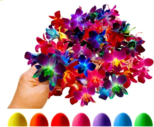 Miniatura 10 de Miami Fresh Orchid Flower OrchidClub USA Sunne Tropical Loose Bloom DIY Lei Food Drink Decoración (50 morado)