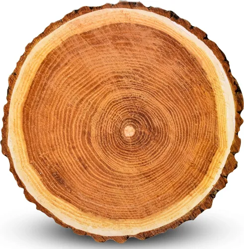 Gift Boutique Paquete de 24 platos de madera desechables redondos de 13 pulgadas, cargadores rústicos de rodajas de árbol para decoración de mesa de