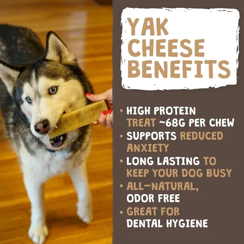 Miniatura 2 de Mighty Paw Golosinas masticables de queso Yak para perros Golosinas para mascotas 100% naturales de larga duración. Sin olor y excelentes